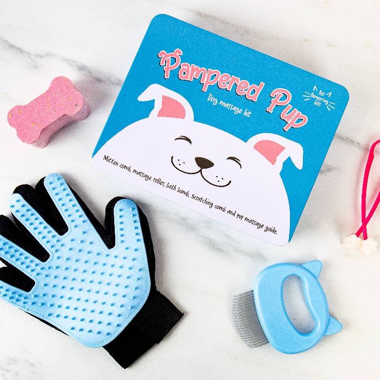 Gift Republic Massage Kit - Hond