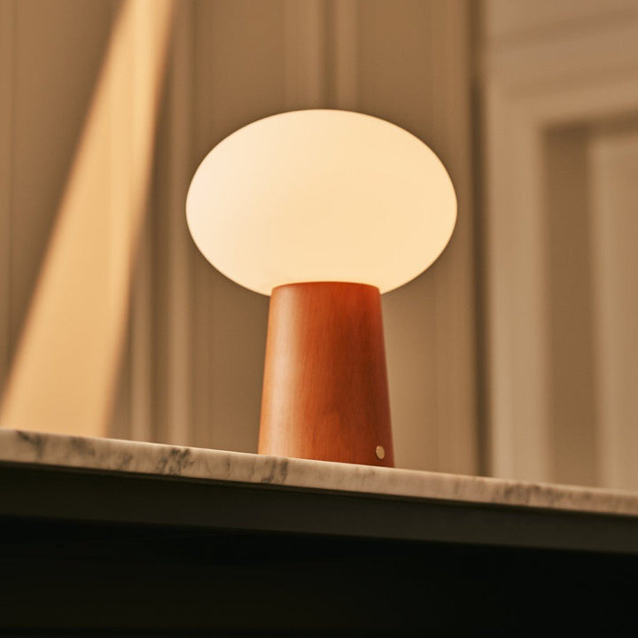 Max kastanje houten draadloze en oplaadbare lamp-milieuvriendelijk ontwerp