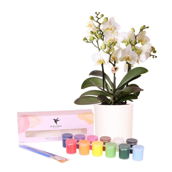Kolibri Creatives | Verfpakket voor het schilderen van 4 bloempotten + orchideeën | voor 4 personen | Beginnende artiest