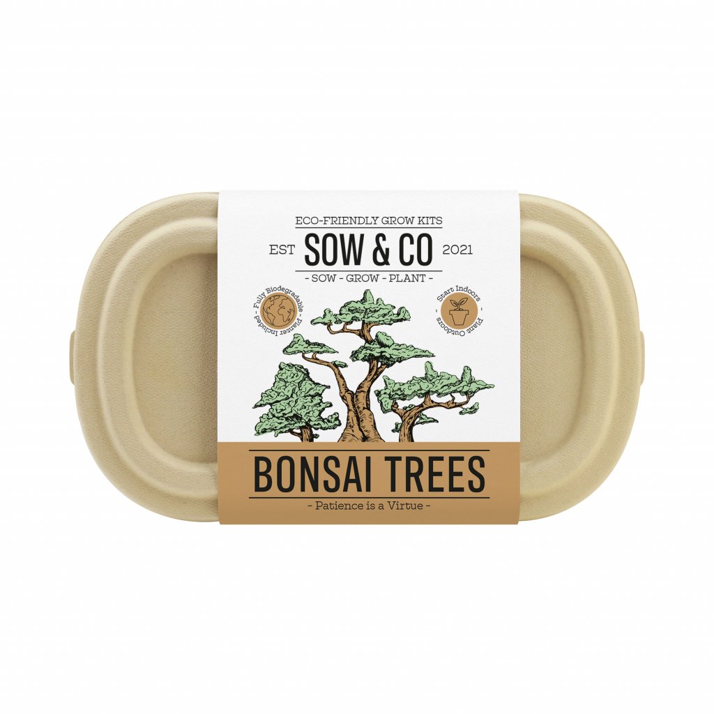 Gift Republic Grow It - Kweekset Bonsai Boompjes