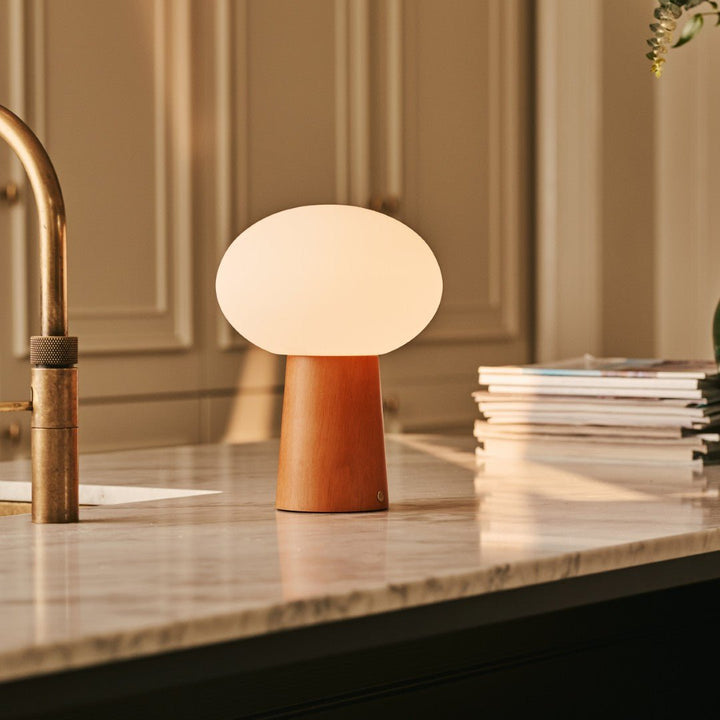Max kastanje houten draadloze en oplaadbare lamp-milieuvriendelijk ontwerp