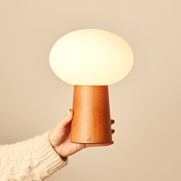 Max kastanje houten draadloze en oplaadbare lamp-milieuvriendelijk ontwerp