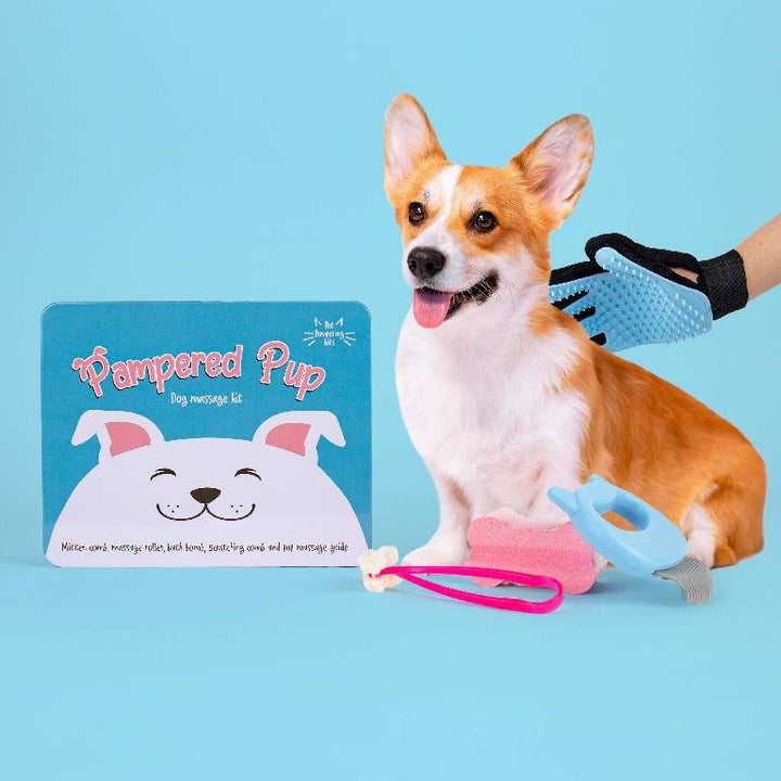 Gift Republic Massage Kit - Hond