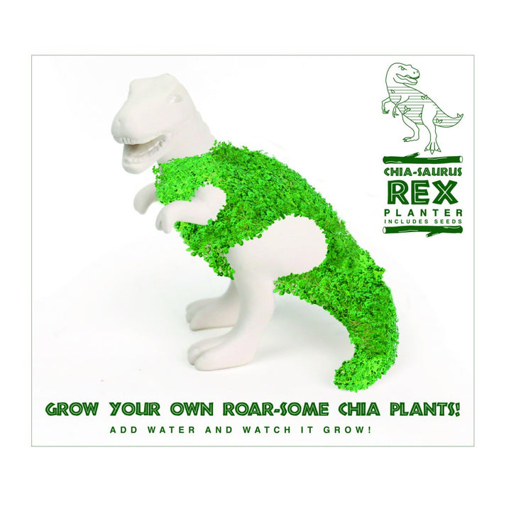Gift Republic Bloempot met Chia Zaadjes - Chia-saurus Rex