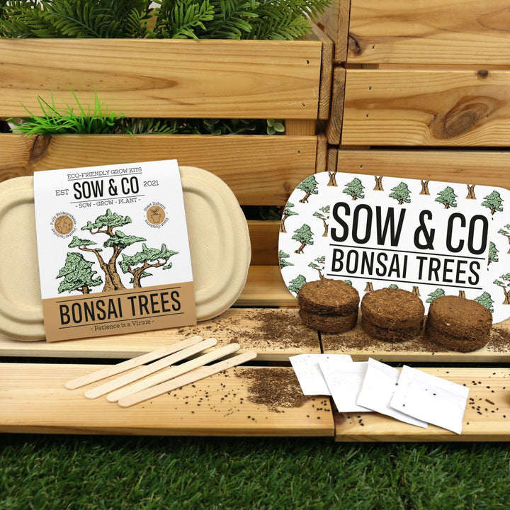 Gift Republic Grow It - Kweekset Bonsai Boompjes