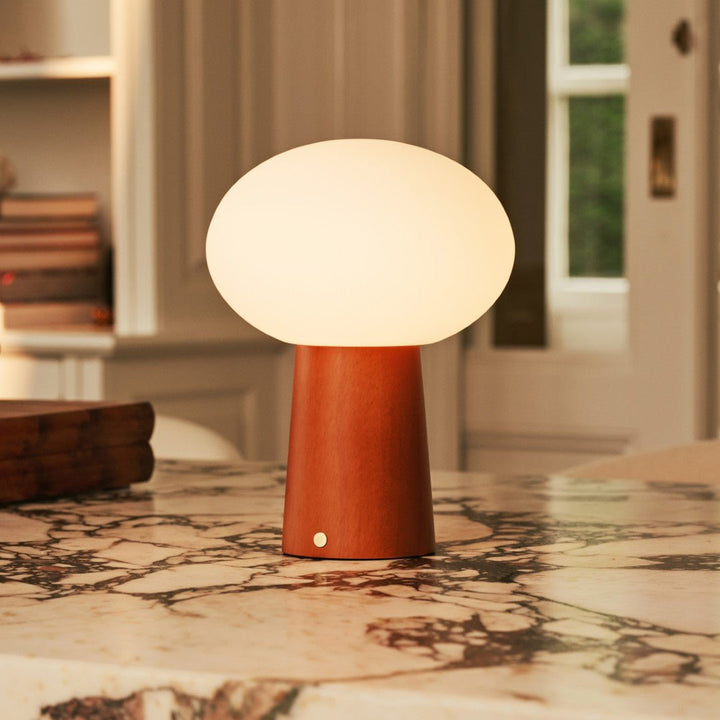 Max kastanje houten draadloze en oplaadbare lamp-milieuvriendelijk ontwerp