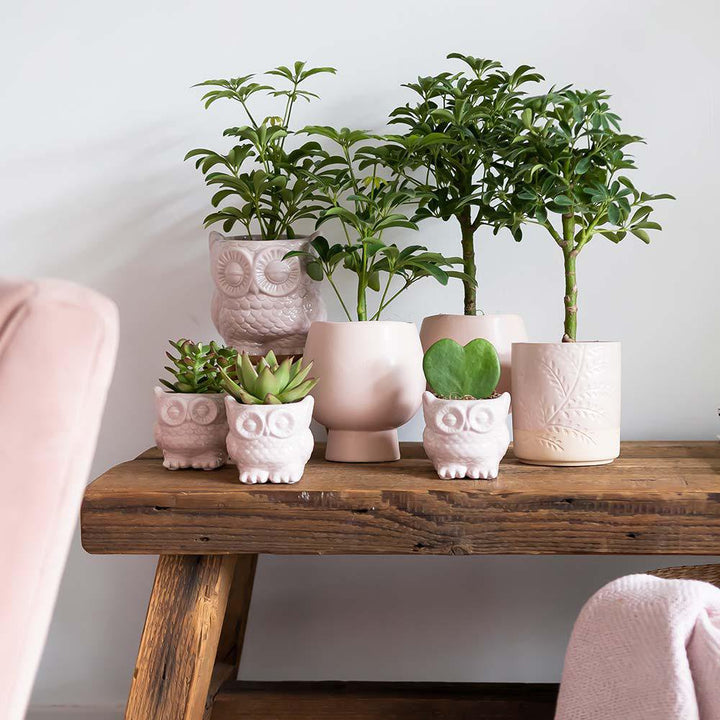 Kolibri Home | Owl bloempot - Nude kleurige keramieken sierpot - potmaat Ø6cm