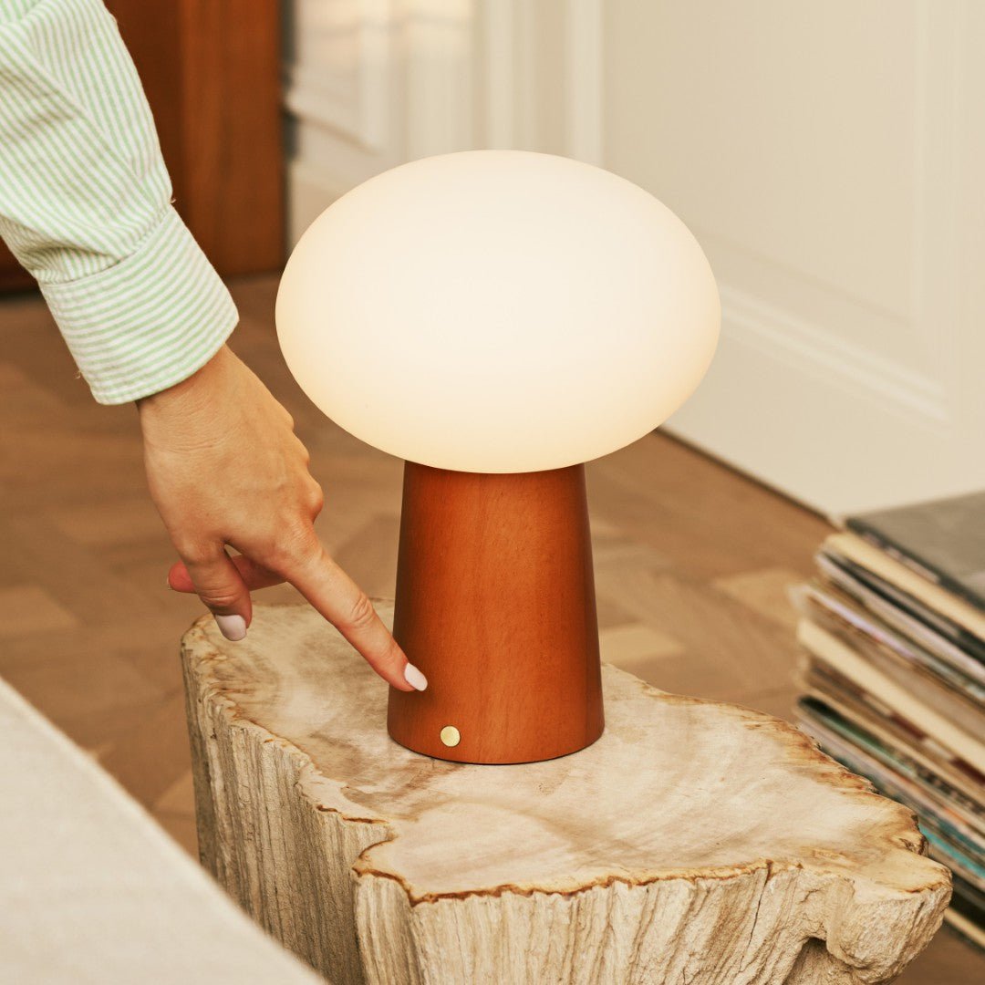 Max kastanje houten draadloze en oplaadbare lamp-milieuvriendelijk ontwerp