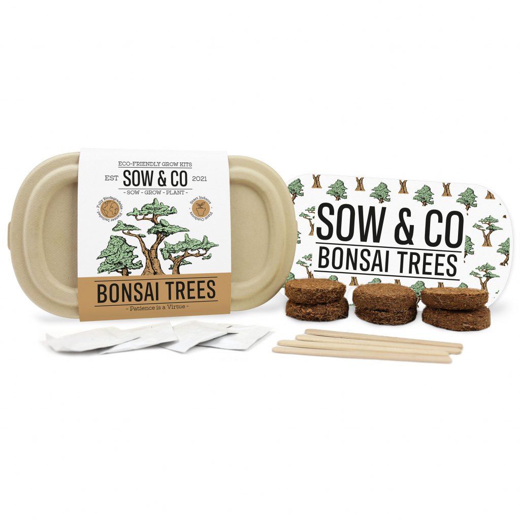 Gift Republic Grow It - Kweekset Bonsai Boompjes