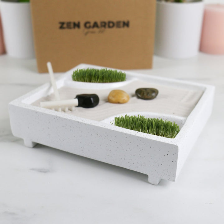 Gift Republic Mini Zen Tuintje