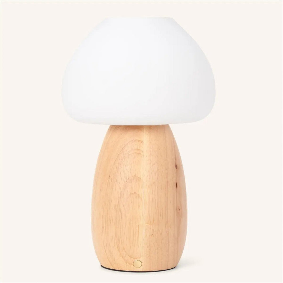 Beer lichtbruin stijlvol oplaadbare lamp-draadloos, dimbaar, milieuvriendelijk ontwerp