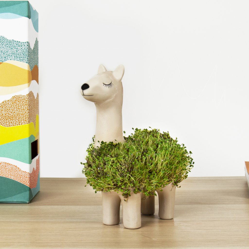 Gift Republic Bloempot Met Chia Zaadjes - Llama