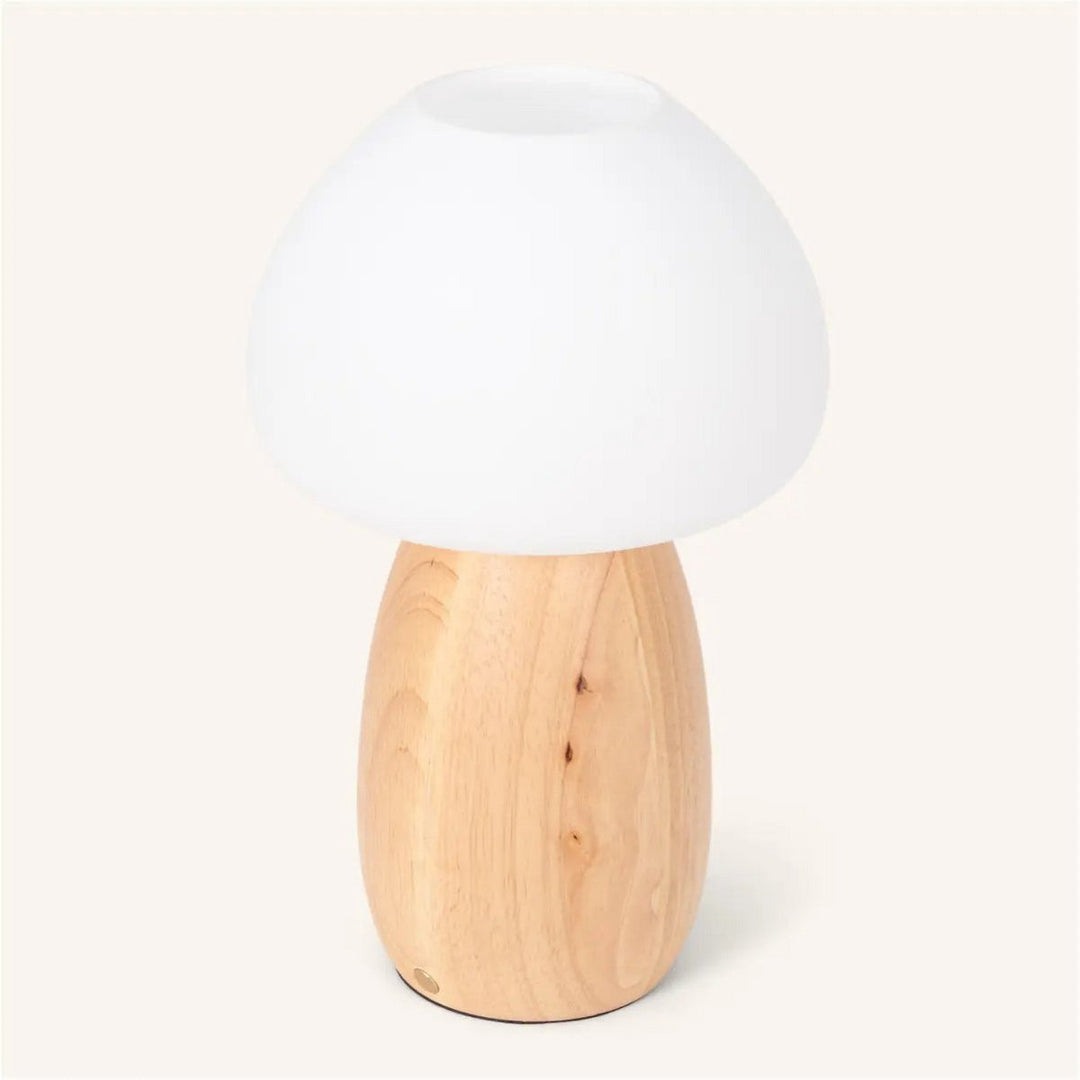 Beer lichtbruin stijlvol oplaadbare lamp-draadloos, dimbaar, milieuvriendelijk ontwerp