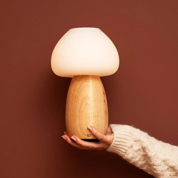 Beer lichtbruin stijlvol oplaadbare lamp-draadloos, dimbaar, milieuvriendelijk ontwerp