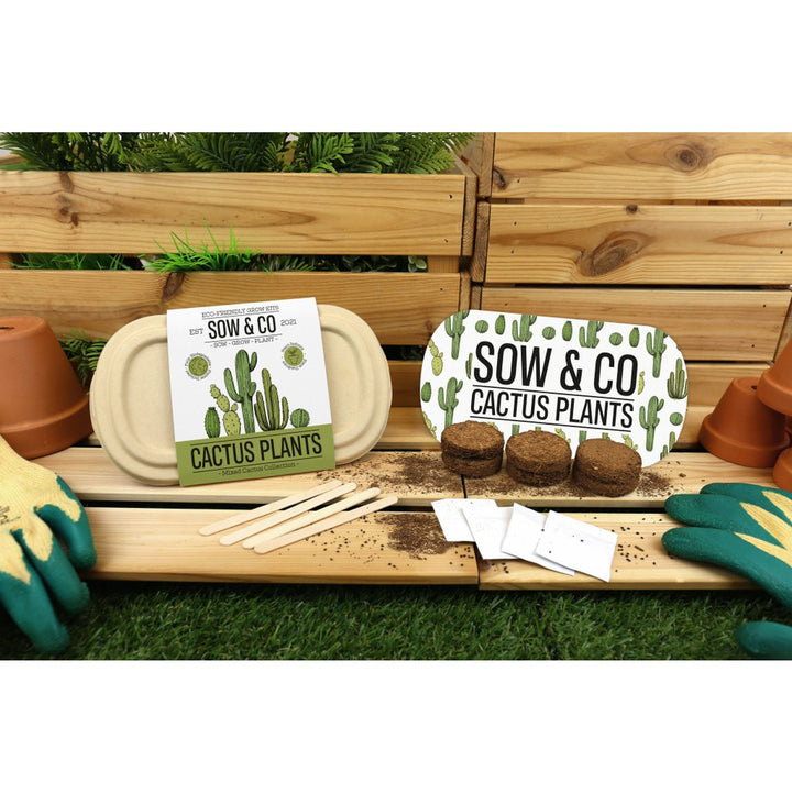 Gift Republic Sow & Co - Kweekset Cactussen