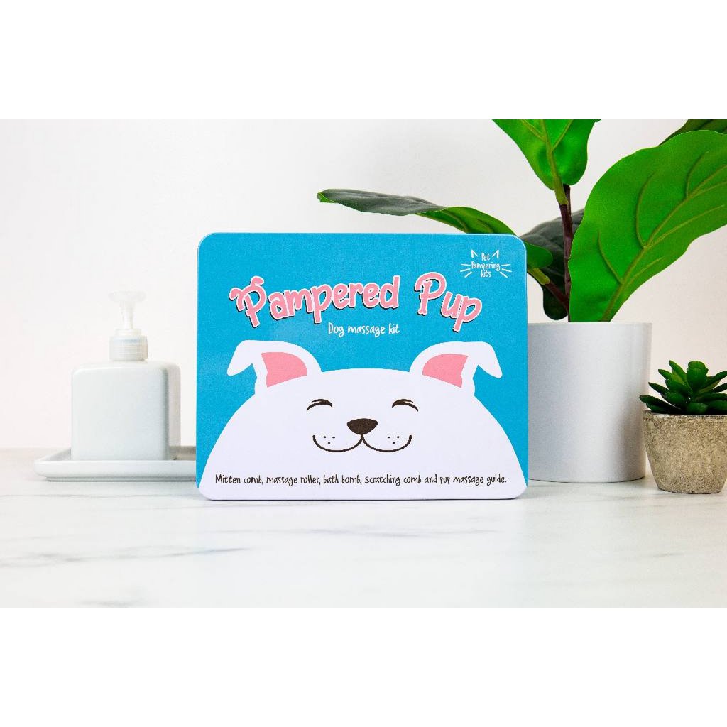 Gift Republic Massage Kit - Hond
