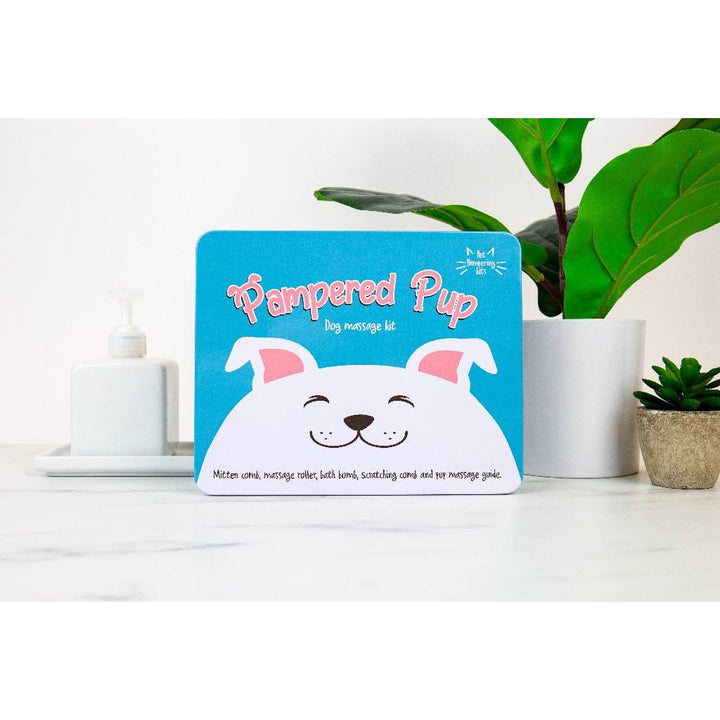 Gift Republic Massage Kit - Hond