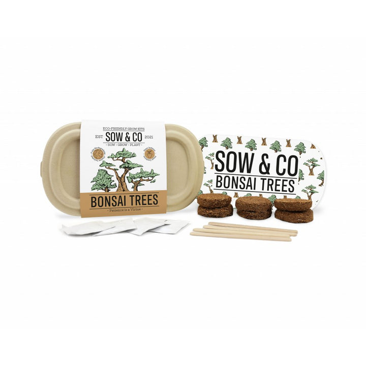 Gift Republic Grow It - Kweekset Bonsai Boompjes