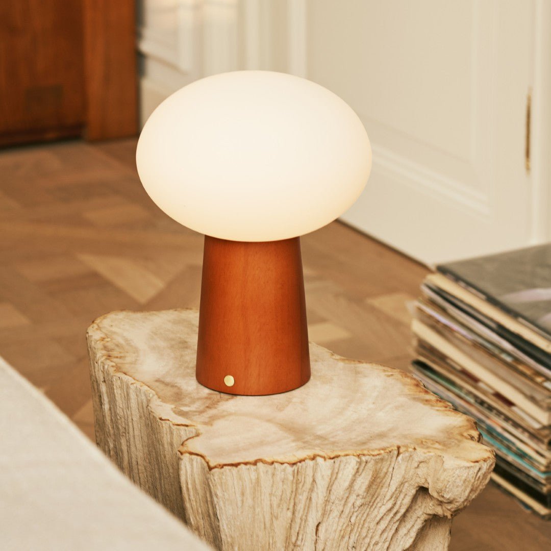 Max kastanje houten draadloze en oplaadbare lamp-milieuvriendelijk ontwerp