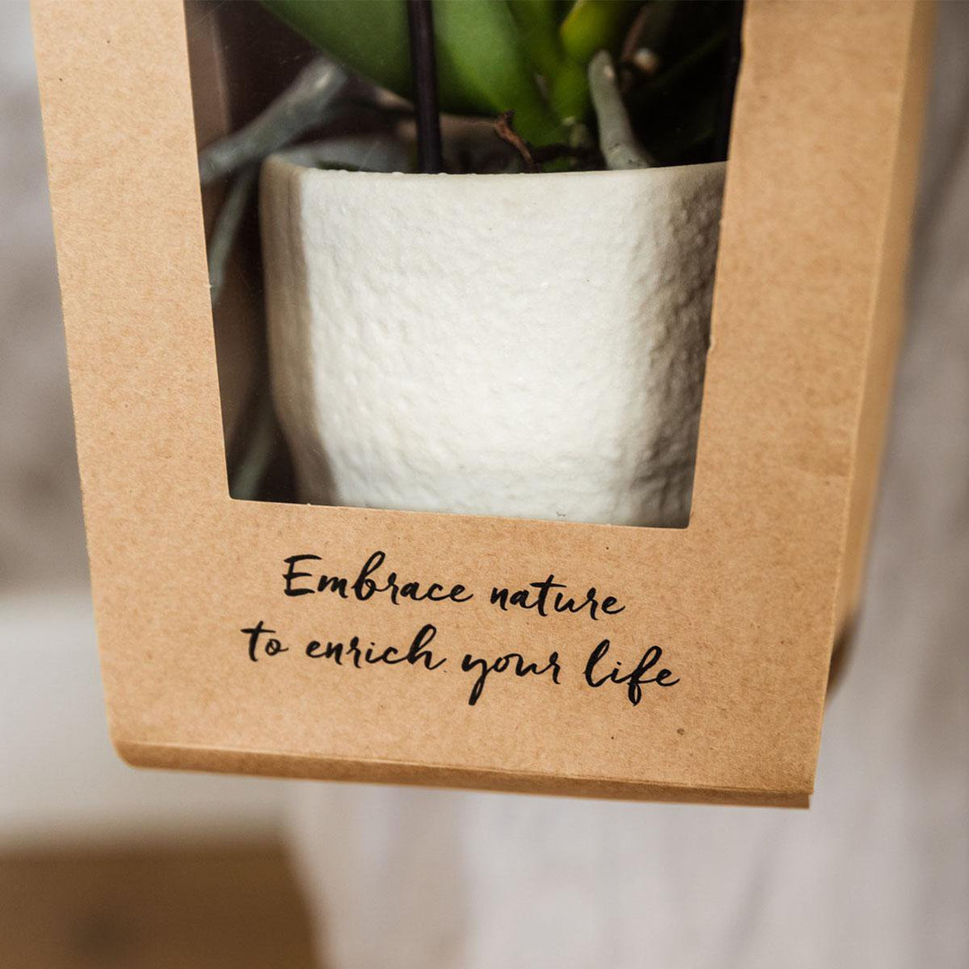 Kolibri Company I Cadeau tasje voor Orchidee met Sierpot 9cm