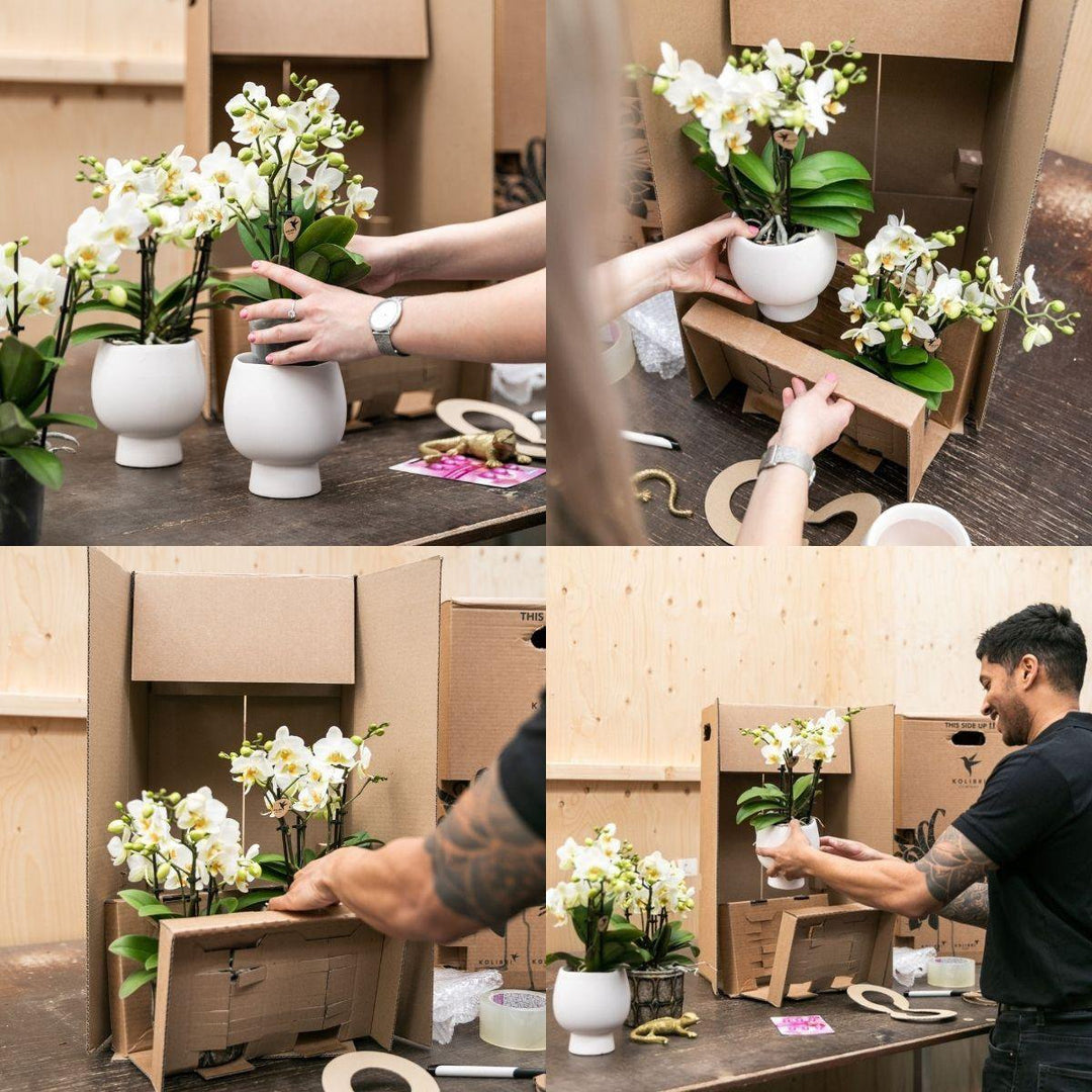 Kolibri Home | Owl bloempot - Nude kleurige keramieken sierpot - potmaat Ø6cm