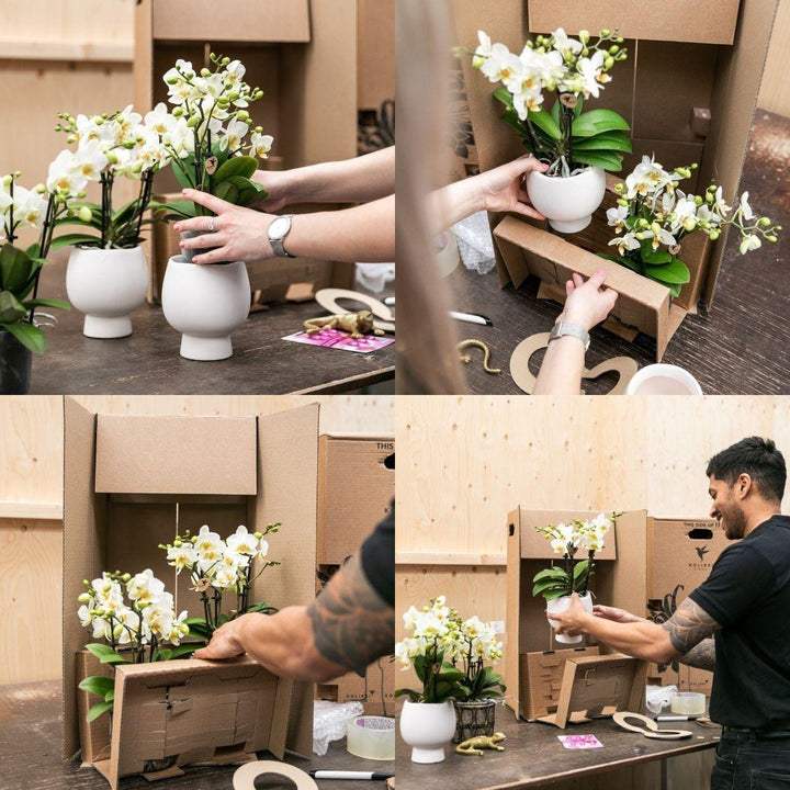Kolibri Home | Owl bloempot - Nude kleurige keramieken sierpot - potmaat Ø6cm