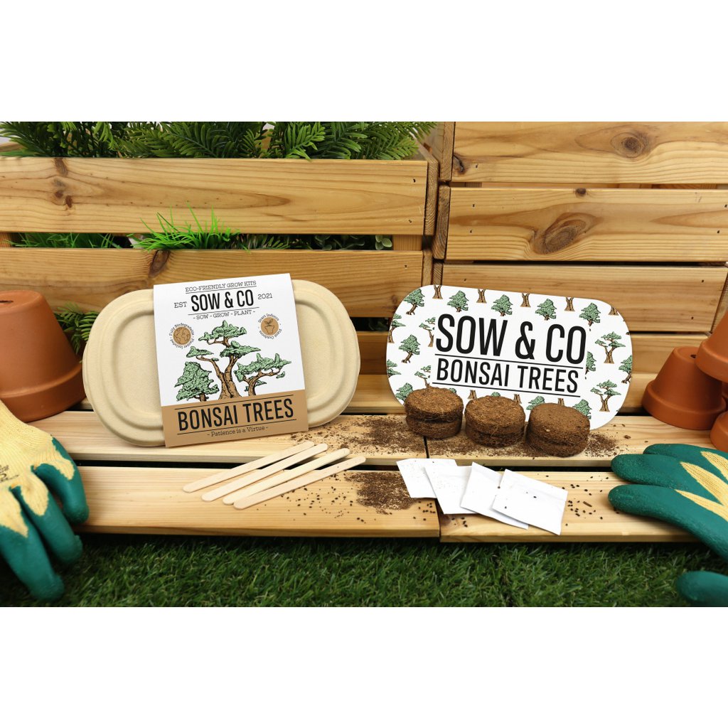 Gift Republic Grow It - Kweekset Bonsai Boompjes