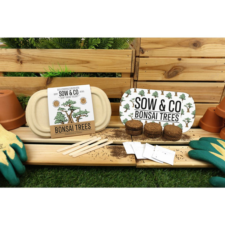 Gift Republic Grow It - Kweekset Bonsai Boompjes