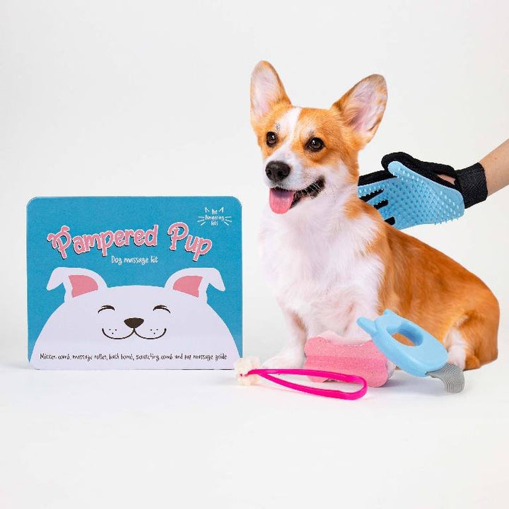 Gift Republic Massage Kit - Hond