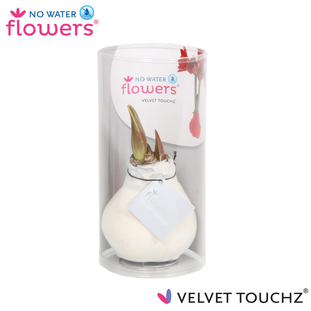 No Water Flowers Velvet Touchz® White In Koker - ↕15cm