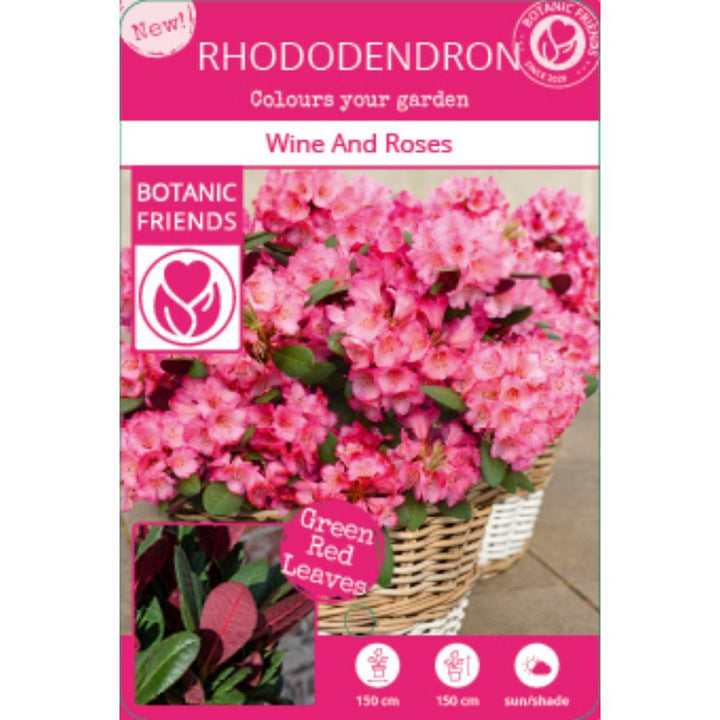 Rhododendron 'Wine & Roses' - Ø13cm - ↕20cm