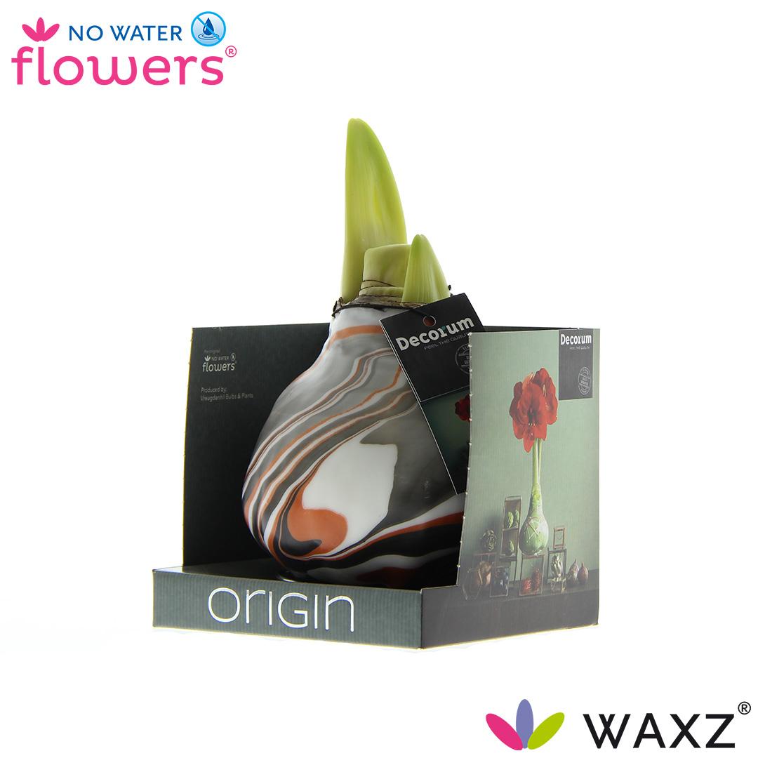 No Water Flowers Waxz® Artooz Earth Copper Boxz - ↕15cm