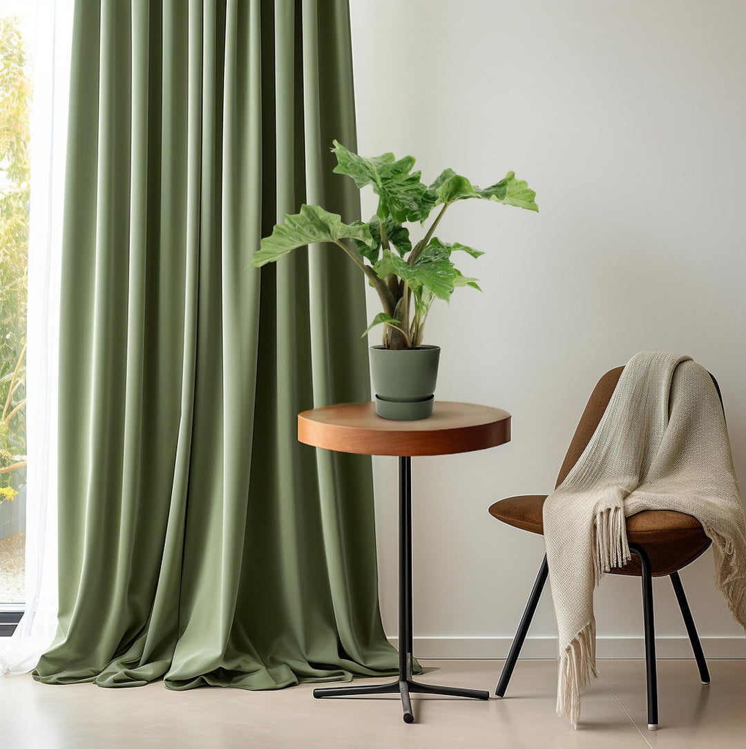 Alocasia Low Rider - Ø17cm - ↕50cm