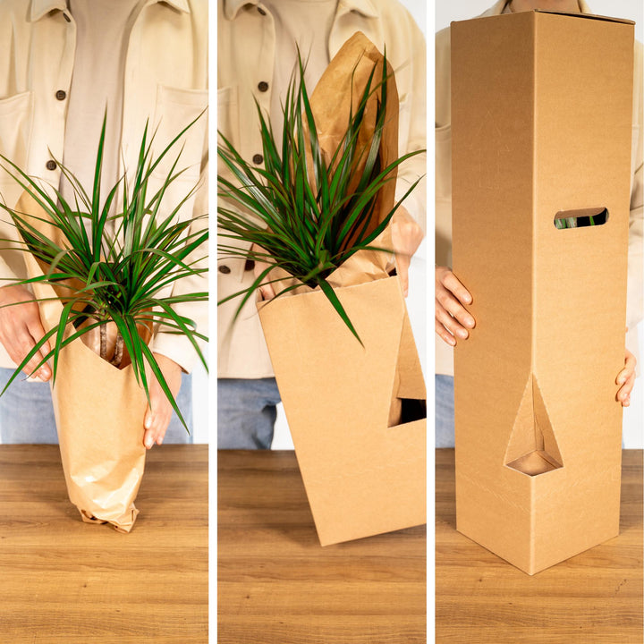 Verrassingsbox - Ø12cm - ↕25cm - x8