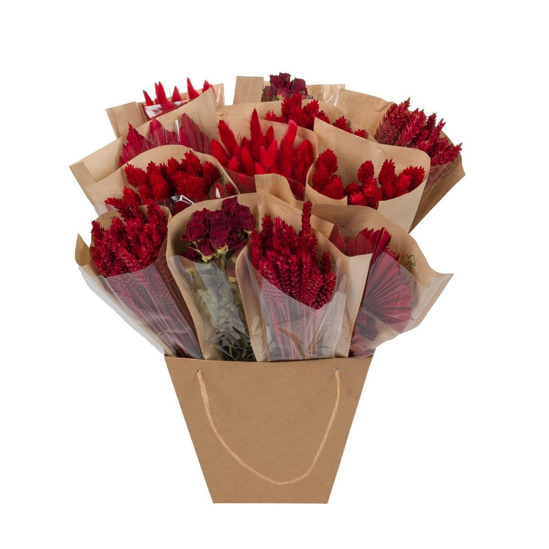 Dried Mono Mix Red - 12 stuks - ↕50 cm