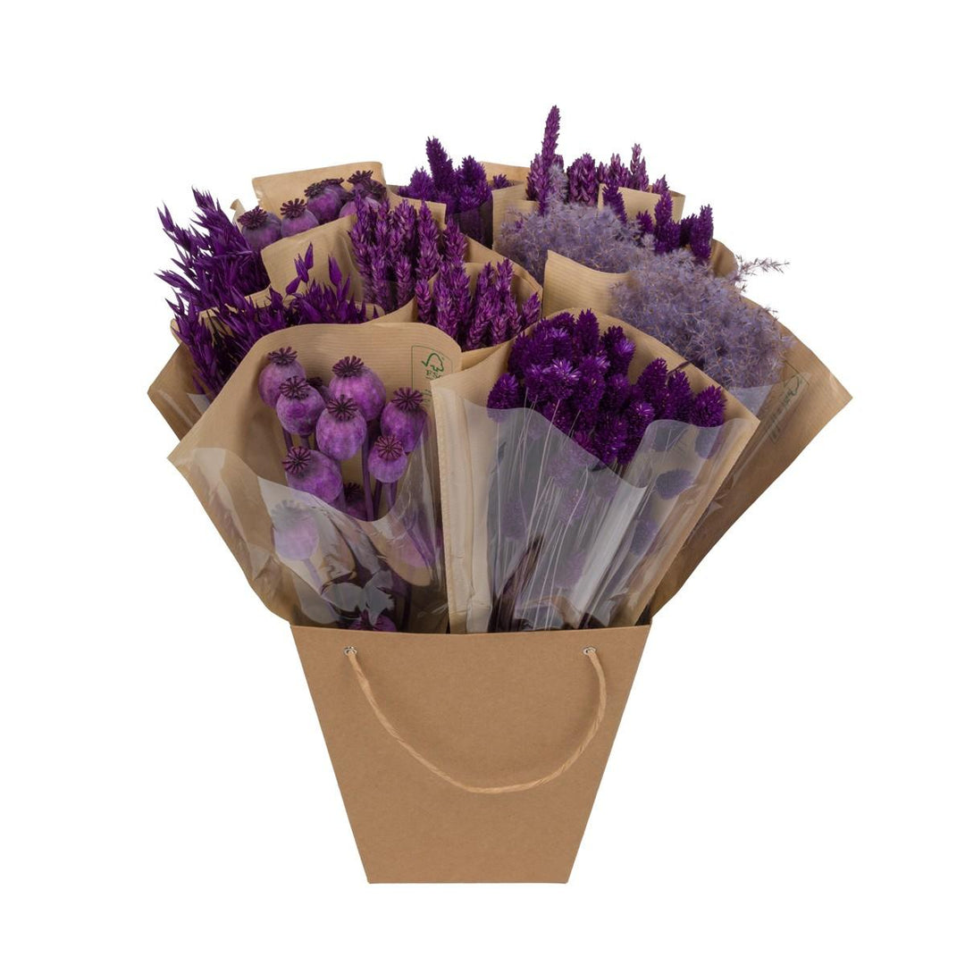 Dried Mono Mix Purple - 12 stuks - ↕50 cm
