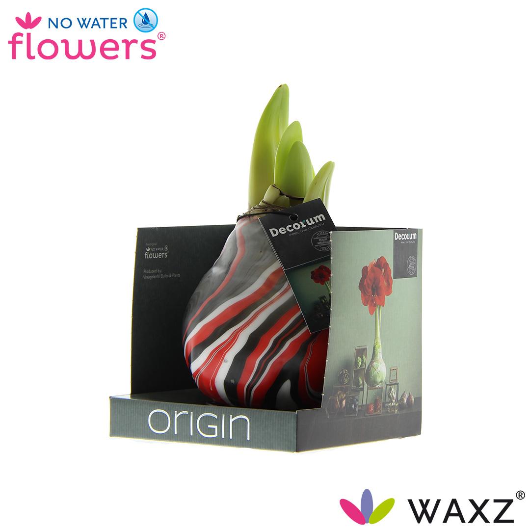 No Water Flowers Waxz® Artooz Earth Red Boxz - ↕15cm