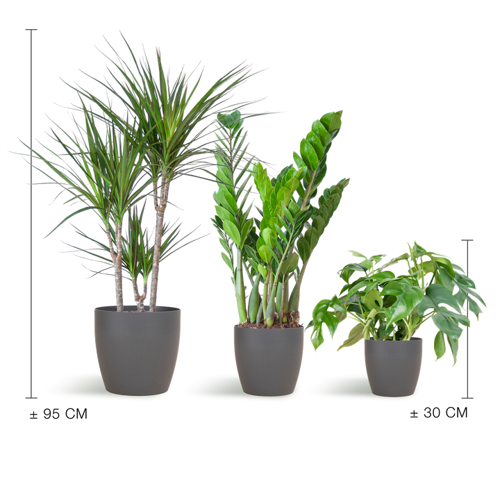 Schaduw Plantenbox - medium - met vibers pot grijs