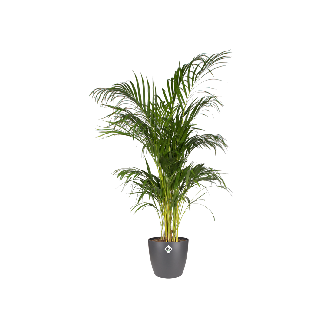 Pot elho Brussels Round Antraciet D30 x H27