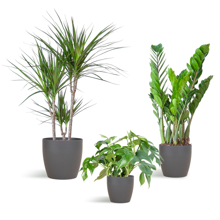 Schaduw Plantenbox - medium - met vibers pot grijs
