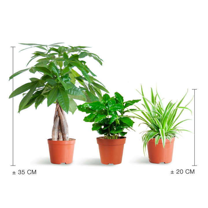 Diervriendelijke Plantenbox - klein - zonder sierpot - Ø12