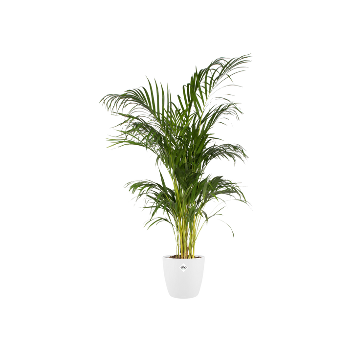 Pot elho Brussels Round Wit D20 x H19